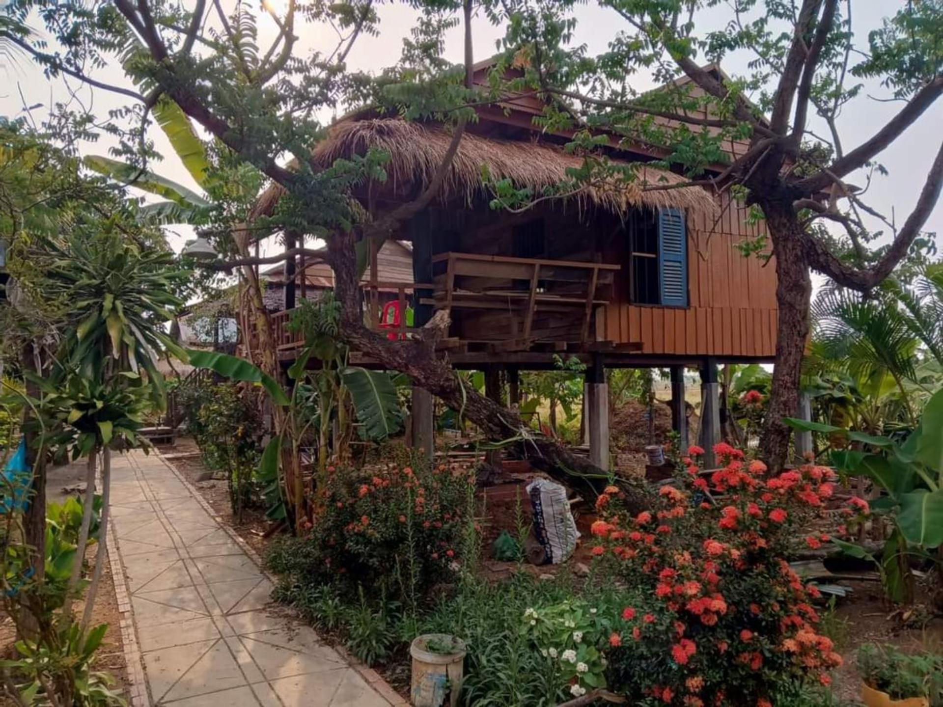 Family Batcave Homestay Battambang Exteriér fotografie